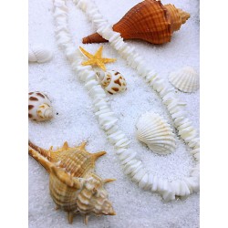 Women White Conch Clam Chips puka Shell Necklace Collar Choker with Extended Chain