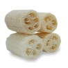Natural Loofah Exfoliating Body Sponge Scrubber for Skin Care in Bath Spa Shower