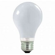 Light Bulb